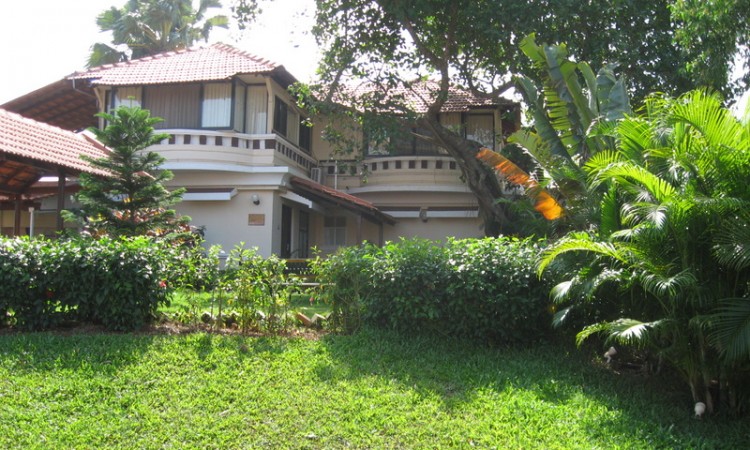 Lawn