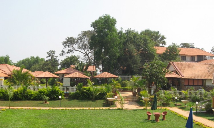 Greenery