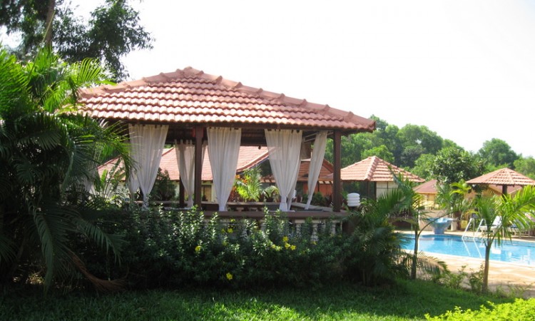 By the lush lawn