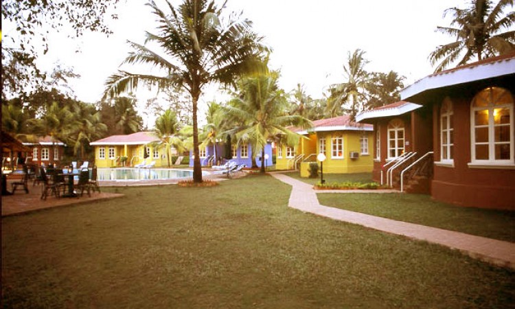 Lawn