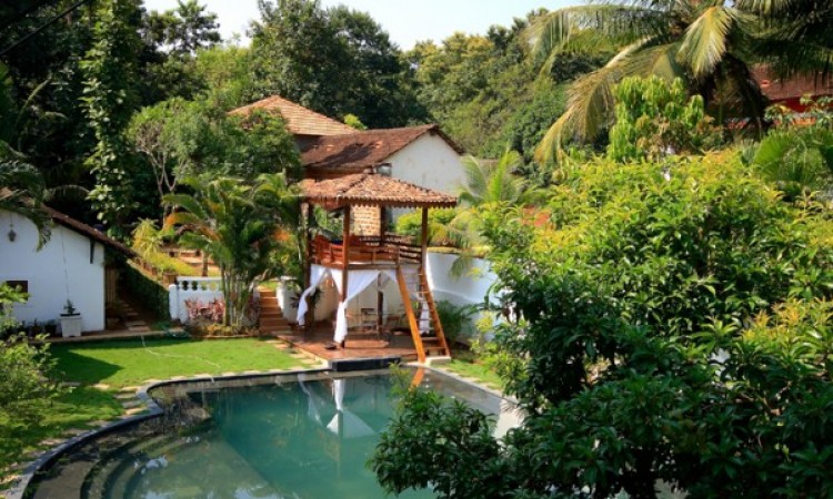 Greenery
