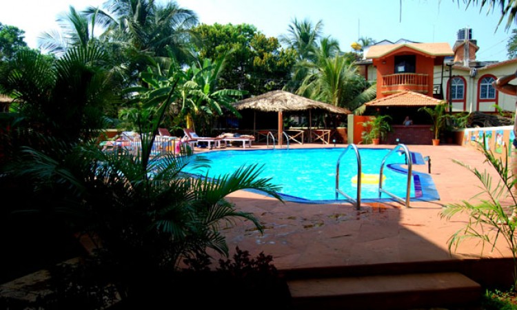View of the pool View of the pool