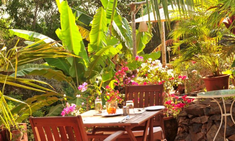 Dining amidst greenery Dining amidst greenery