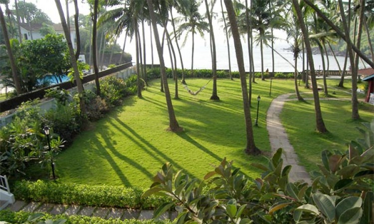 Lawn