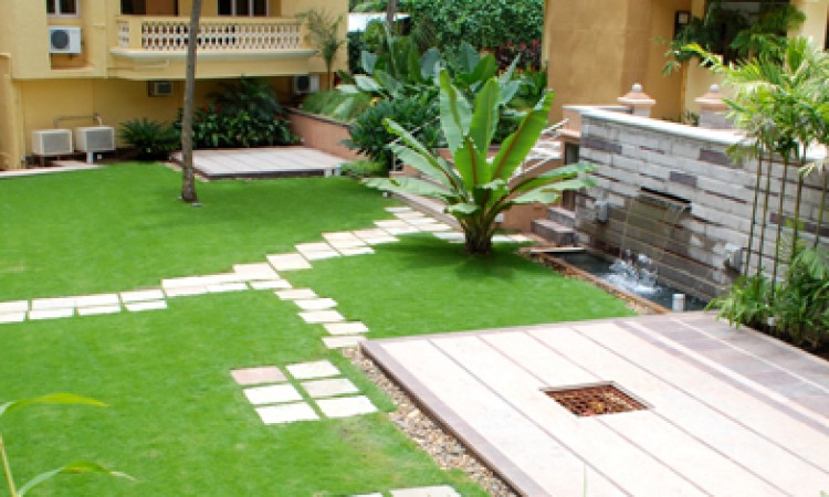Lawn