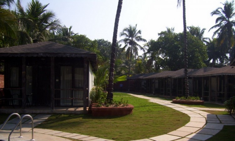 Lawn