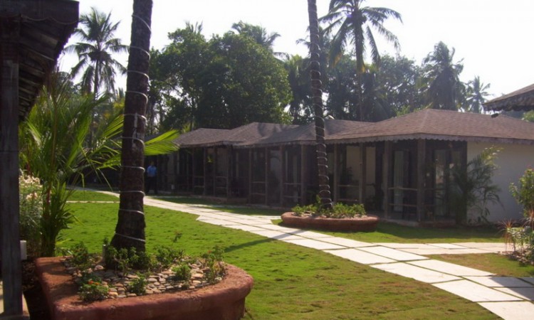 Greenery