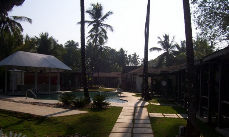 Evening view