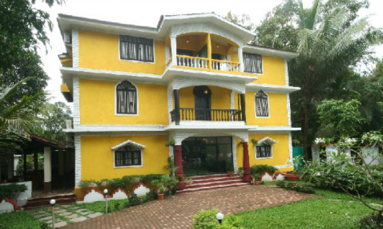 Front View_2