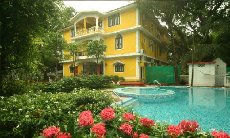 Front View