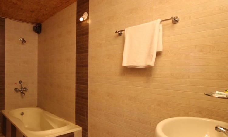 Super-deluxe-washroom