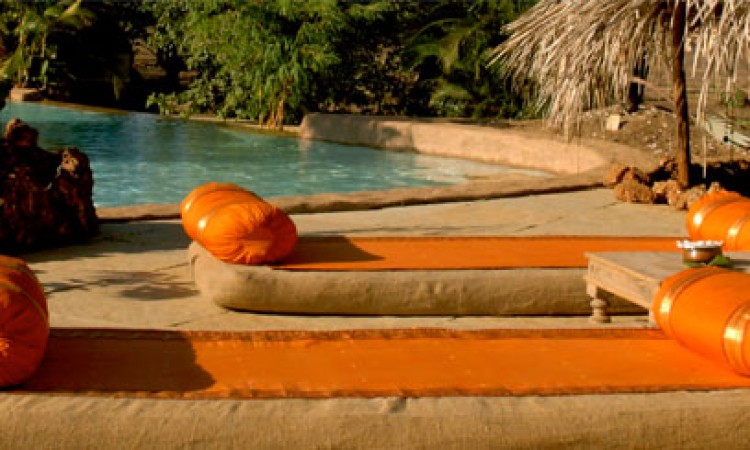 By the Pool By the Pool