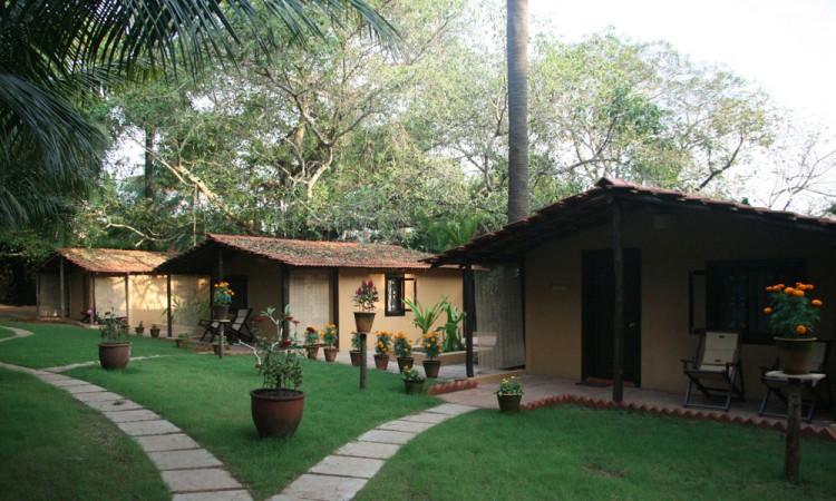 Lawn Lawn