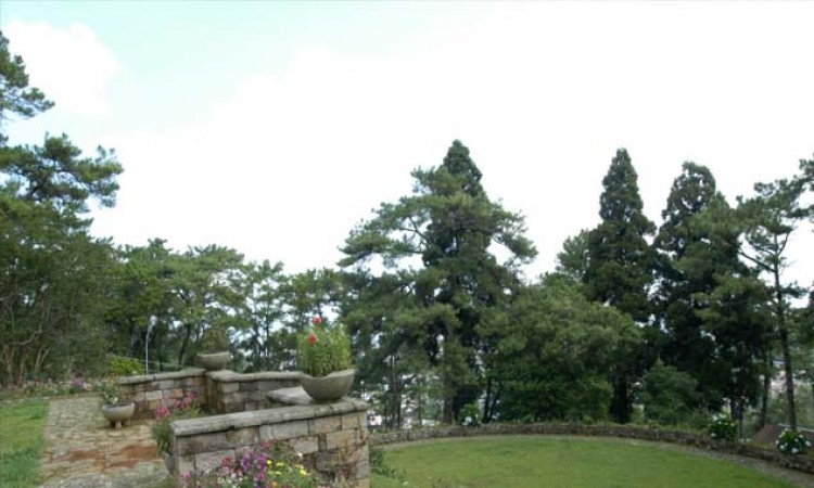 Garden Area Garden Area