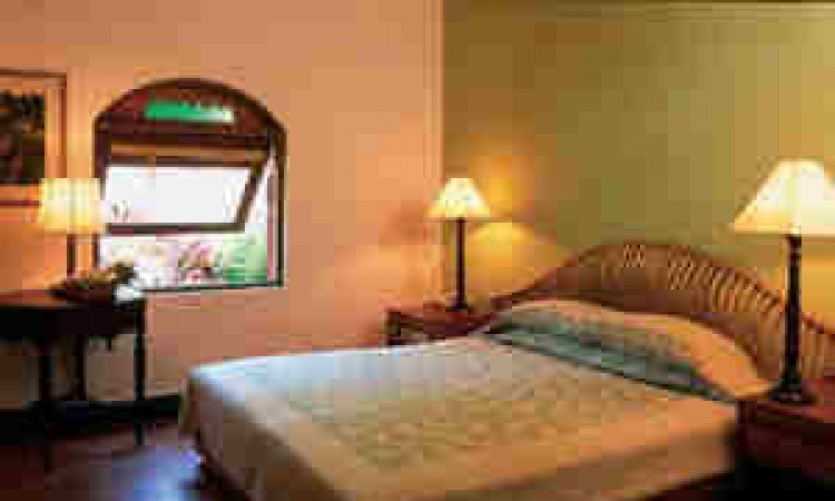 Bedroom Bedroom