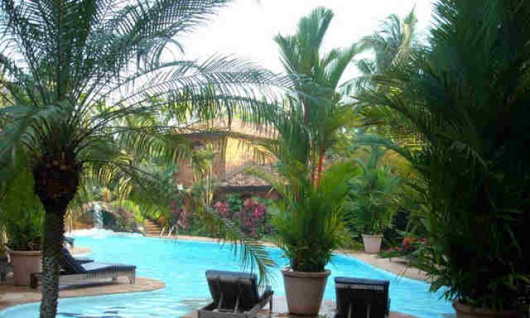 Pool view Pool view