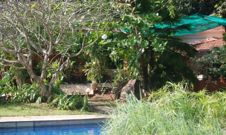 Tamarind Tree Poolside