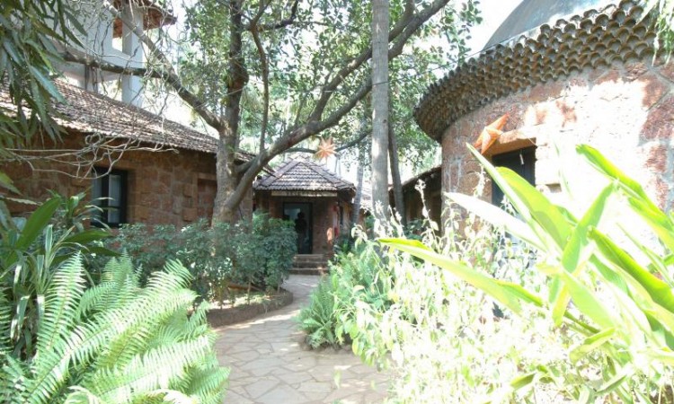 Path Among Cottages