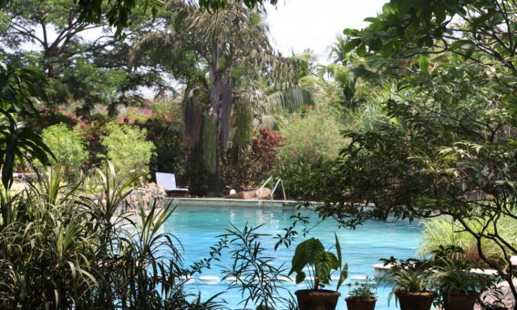 Lush Pool View