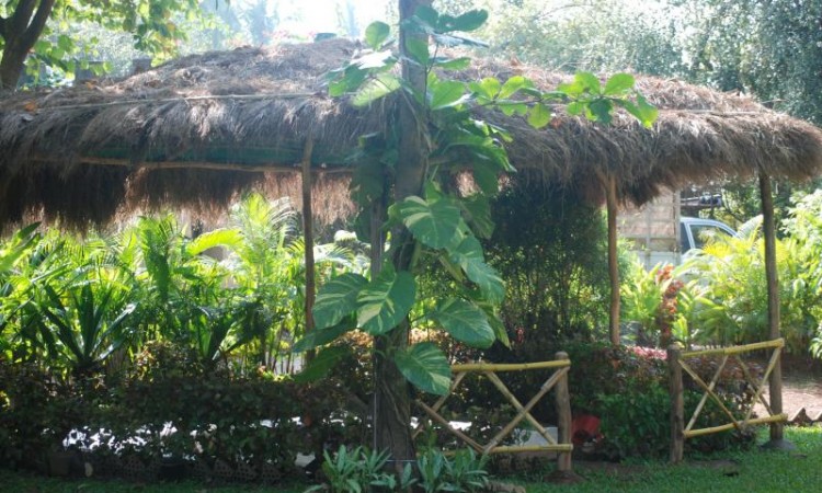 Covered Mud Pool