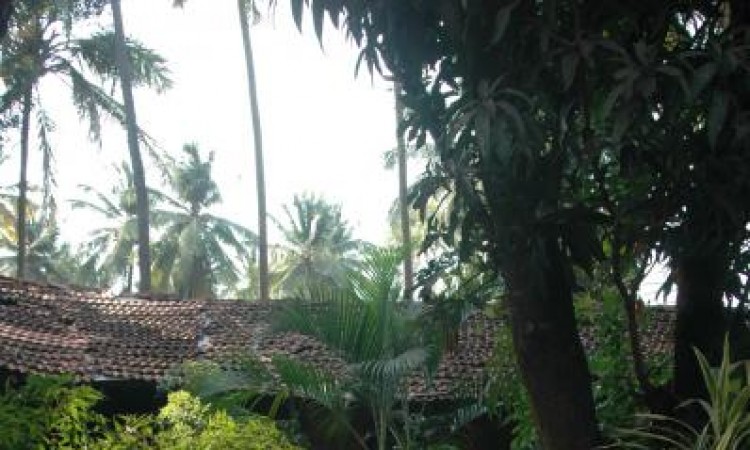 Courtyard Path