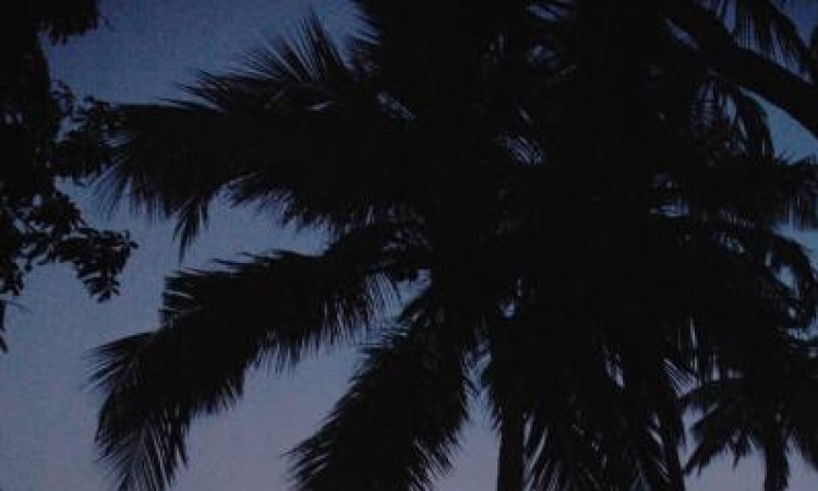 Courtyard By Night