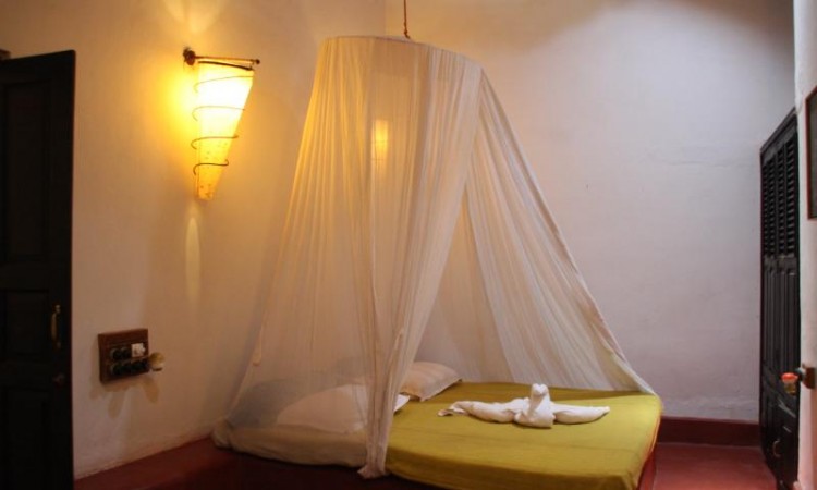 2 Bedroom Cottage Suite