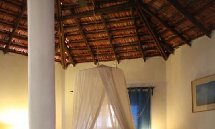 1 Bedroom Cottage Suite:Side View