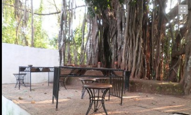 Sitting Area