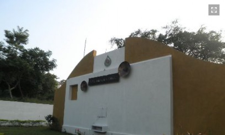 Side View