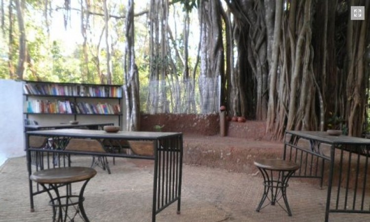 Library in open area