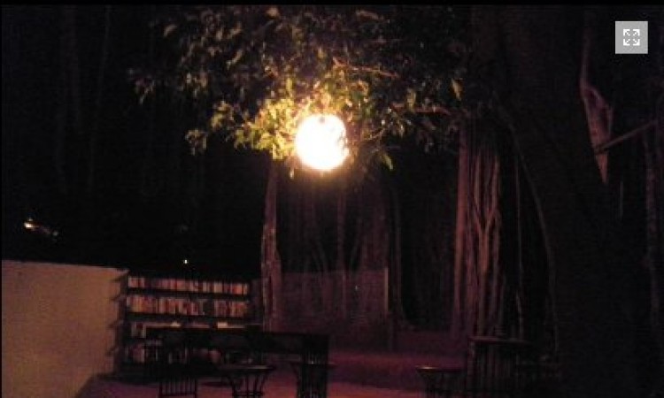 Library by evening