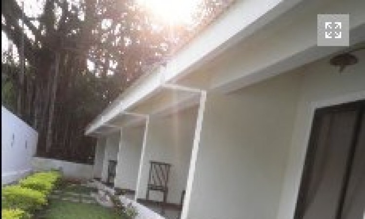 Lawn
