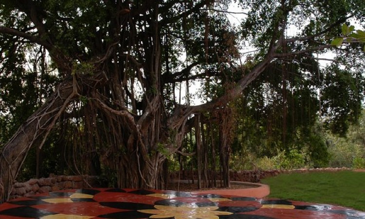 Meditation Point Meditation Point