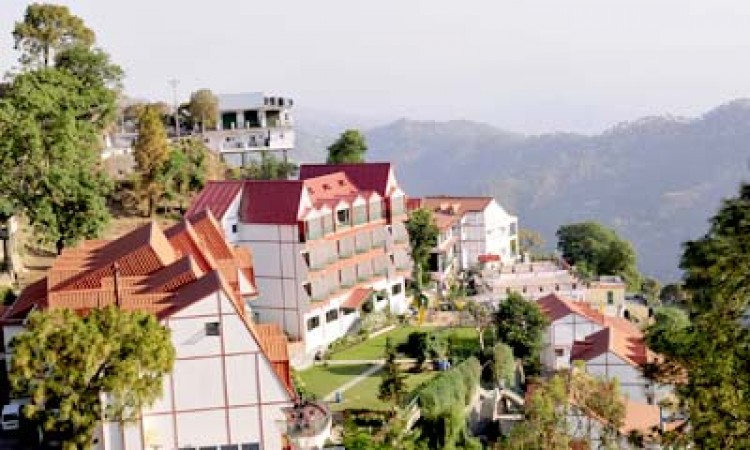 Overview Overview