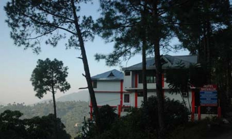View View