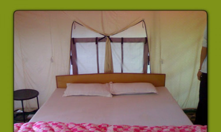 Bed Bed