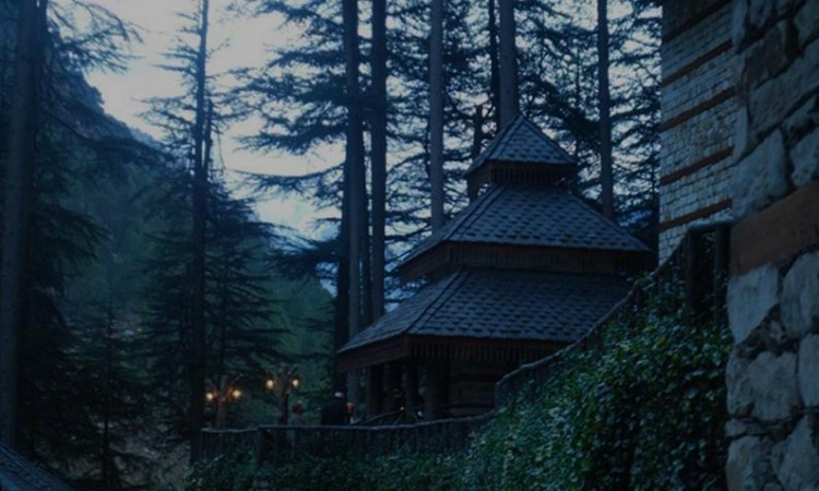 Amidst Nature