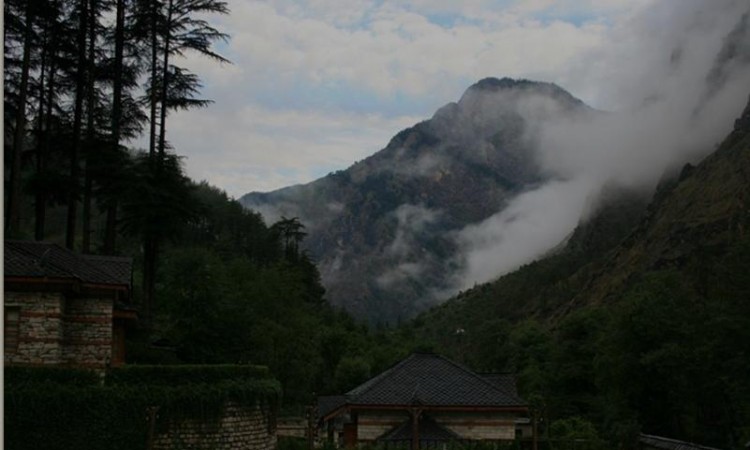 Nature around