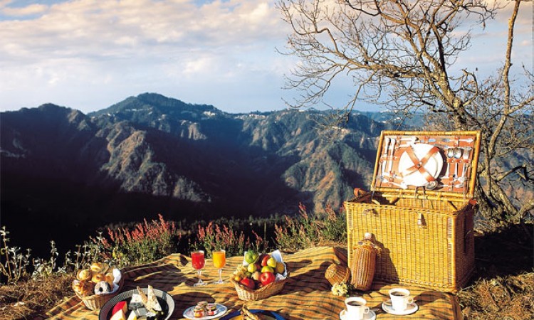 Picnic Picnic