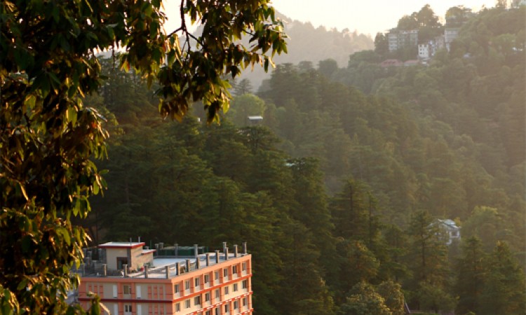 Hotel View