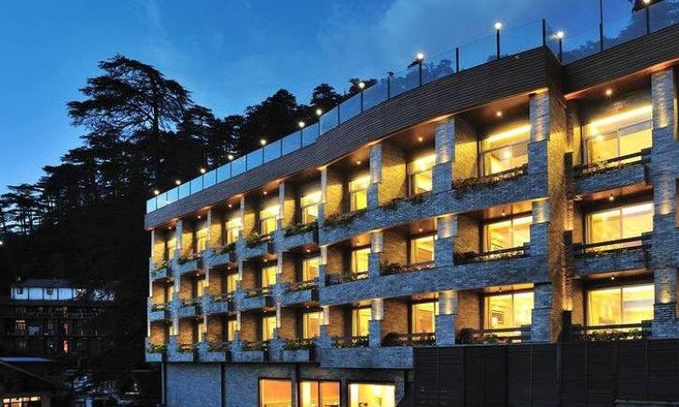View by night