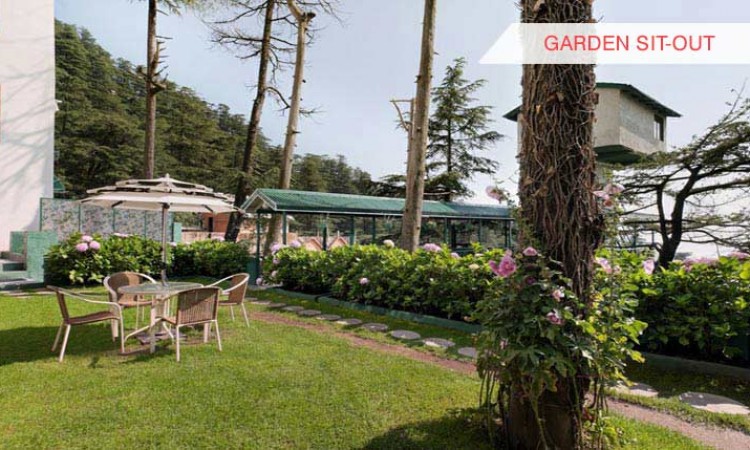 Garden Area