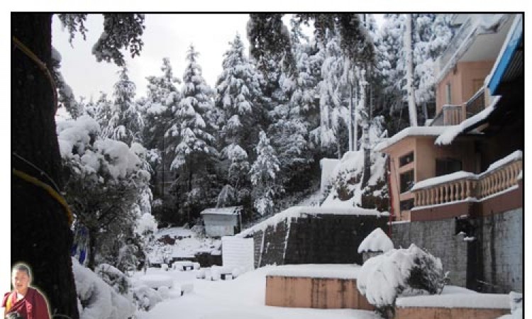 Snowfall