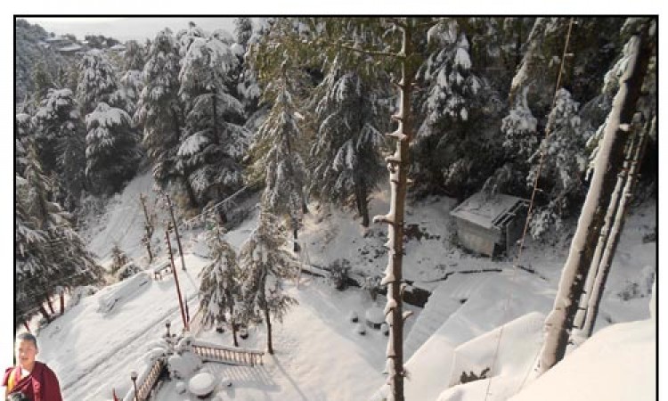 Resort at Snowfall
