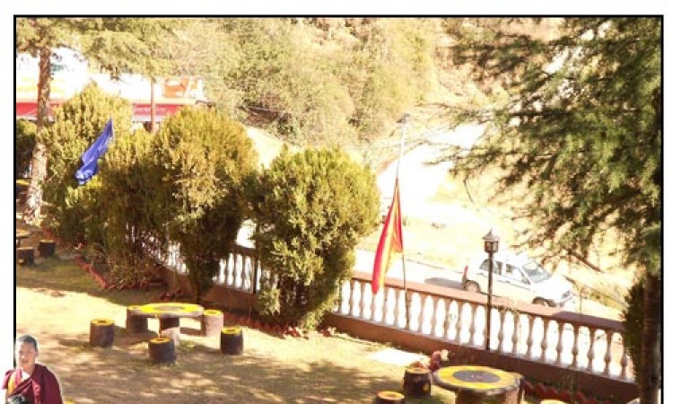 Lawn