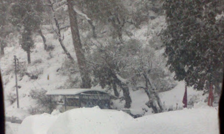 Snow view Snow view
