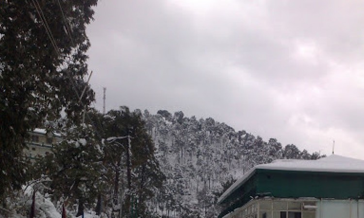 Snow by the resort Snow by the resort