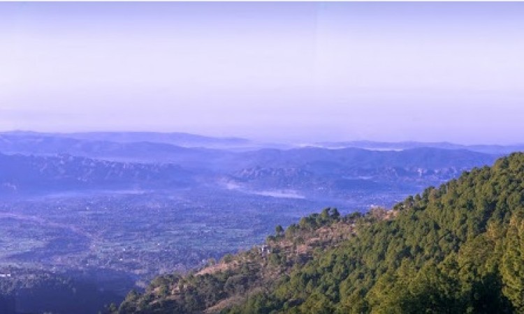 Scenic Dharmashala Scenic Dharmashala