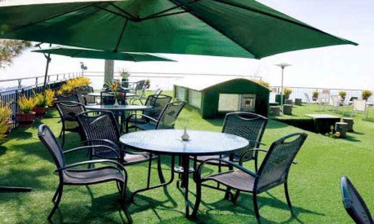 Lawn Lawn